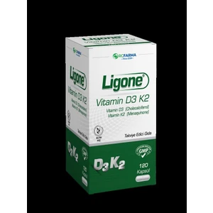 Vitamin D3 K2 120 Kapsül