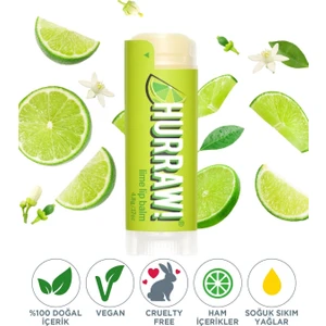 Lime Dudak Balmı Ferahlatıcı Etkiyle Gün Boyu Bakım 4.25 g Vegan ve Doğal İçerik