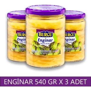 Enginar Konservesi 540 gr x 3 Adet