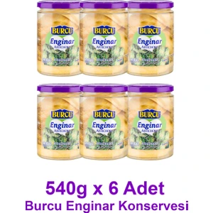 Enginar Konservesi 540 Gramlık 6 Adet
