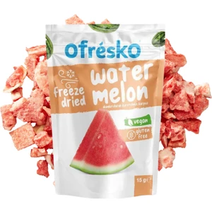 Karpuz Kuru Meyve Cipsi 15 gr – İlave Şekersiz & Katkısız - Dondurularak Kurutulmuş Sağlıklı Atıştırmalık – Freeze Dried Karpuz