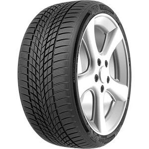 Roadfun Winter 245/45R18 100V Rf M+S (Kış) (2022)