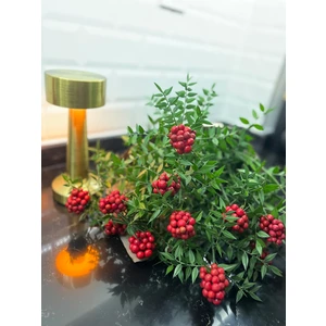 Green Deco Kokina Çiçeği (12 Dal)-Yılbaşı Çiçeği-Şansçiçeği