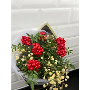 Green Deco Kokina Şans Çiçeği Cipso Aranjmanlı (6 Dal)-Yılbaşı Çiçeği -Şans Çiceği Cipso Siyah Buket