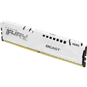Fury Beast Ddr5 16GB 5600 Mhz CL40 Beyaz KF556C40BW-16