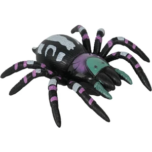 Tırmanabilen Tarantula