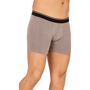 Erkek Modal Pamuklu Boxer Şort | Gri K11256