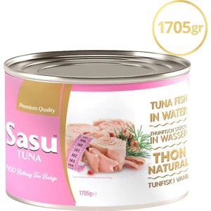 Light Ton Balığı 1705G Bütün Dilim