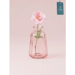 Ynsk Minimalist Dekor Cam Vazo - Şeffaf - 6 x 11 x 3,5 cm
