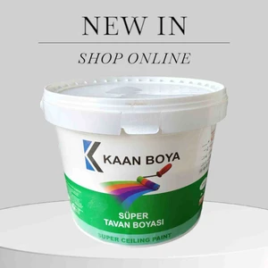 Tavan Boyası