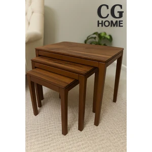 Cg Home Mono Zigon Sehpa Üçlü Lüx %100 Ağaç Lake Boyalı Sehpa