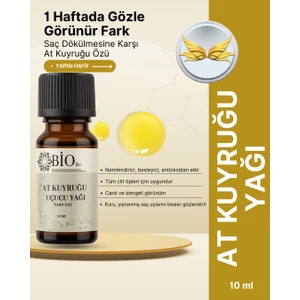 AT KUYRUĞU UÇUCU YAĞI 10ML CİLT YUMUŞATMA VE PARLATMA