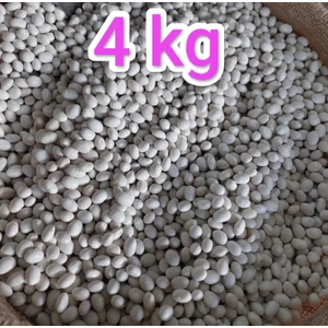 İrfan Bakliyat İspir  Fasulye 4 kg (Yerli Mahsul )