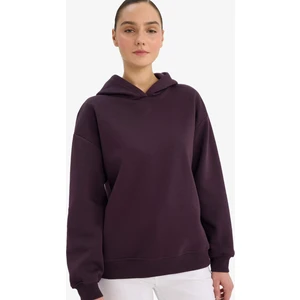 Relax Fit Kapüşonlu Basic Kalın Sweatshirt D9935AX25WN