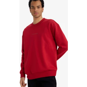 Boxy Fit Bisiklet Yaka İçi Yumuşak Tüylü Baskılı Sweatshirt X8282AZ25AU