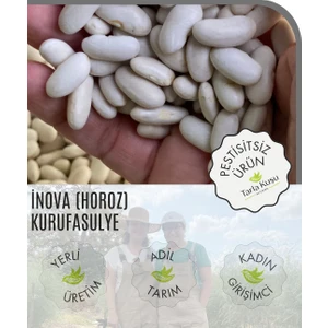 Inova(Horoz) Kuru Fasulye 5 kg (Tarla Kuşu, Doğal Tarım, Ilaçsız, Yeni Mahsul, Kozçeşme- Biga)