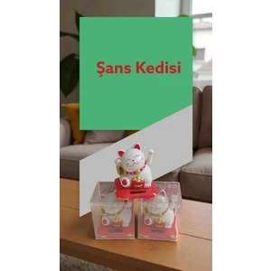 Solar El Sallayan Şans Kedisi