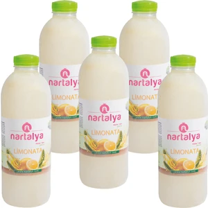 Dondurulmuş Doğal Limonata Şeker İlavesiz 5 Adet 900 ml.