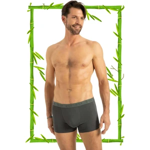 Hrnzafer Tekstil Bambu Erkek Boxer (Q-En 500)