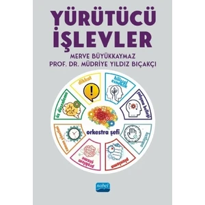 Yürütücü Işlevler