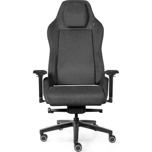 Xdrive Altay Business Çalışma Koltuğu Gri