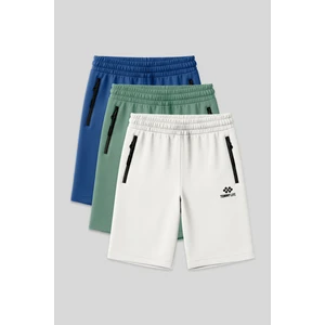 Tommy Life Standart Kalıp 3lü Paket Ekru-Parlament-Açık Yeşil Erkek Şort - 81136