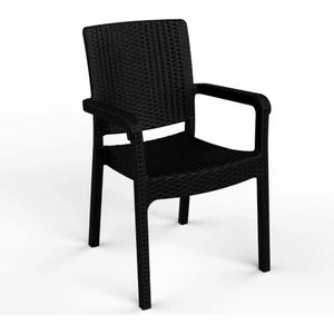 Hilton Plastik Sandalye 2'li