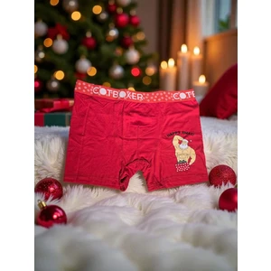 Diva Viva - Yılbaşı Temalı Desenli Erkek Boxer – Hediye Paketli