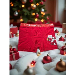 Diva Viva - Yılbaşı Temalı Desenli Erkek Boxer – Hediye Paketli