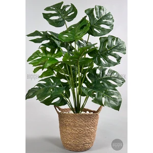 Yapay Monstera Deve Tabanı 65-70 cm Hasır3