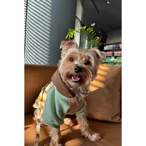 Salya Store Küçük ırk caramel köpek hoodie