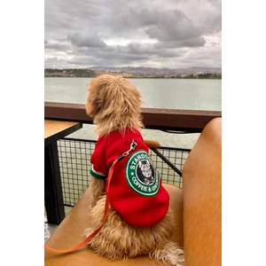 Salya Store Stardogs Köpek College Ceket, Küçük ırk köpek kıyafeti