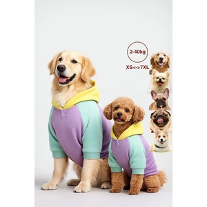 Salya Store Küçük ve büyük ırk köpek hoodie, Positive köpek kıyafeti 2-45kg