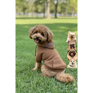 Salya Store Köpek Elbisesi, Köpek Hoodie, Pembe Magnet, Küçük Irk Köpekler