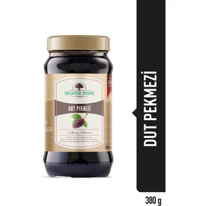 Evvahe Doğal Dut Pekmezi (380 Gr.)