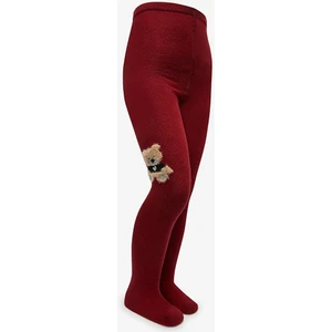 Pretty Teddy Bear Külotlu Çorap