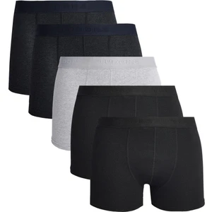 Erkek 5'li Pamuklu Likralı Esnek Kumaş Boxer