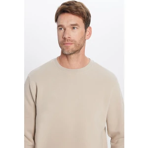 Unisex Relax Fit Rahat Kesim Pamuklu Yumuşak Dokulu Polarlı Basic Taş Renk Bisiklet Yaka Sweatshirt