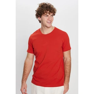 Erkek Slim Fit Dar Kesim Pamuklu Yumuşak Doku Likralı Esnek Kumaş Basic Kiremit Bisiklet Yaka Tişört