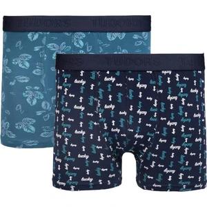 Erkek 2'li Pamuk Likralı Esnek Kumaş Boxer