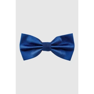 Armürlü Sax Mavi Erkek Papyon