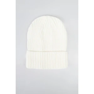 Kışlık Erkek Ekru Bere.