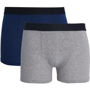 Erkek 2'li Pamuk Likralı Esnek Kumaş Boxer