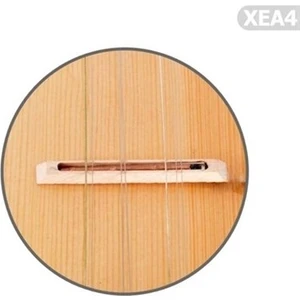 Fransua Eşik Altı Bağlama Manyetiği