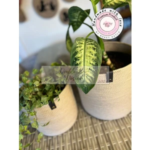 Double Knot Design Pot Saksı Sepet. 2li Set Banyo, Mutfak, Çocuk Odası Düzenleyici Sepet, Organizer  Hasır