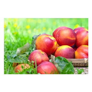 Hamile Marketim Taze Nektarin - Şeftali (2 Adet)