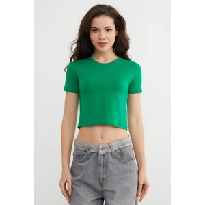 Basic Bisiklet Yaka Crop Tişört