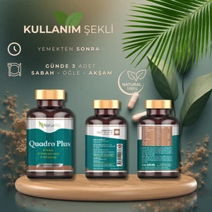 Quadro Plus Mumiyo ve Kırmızı Kore Ginsengi Içeren Takviye Edici Gıda - Bitkisel 90 Tablet