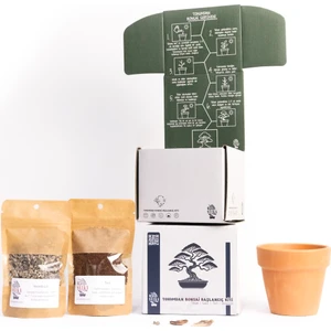 Tohumdan Bonsai Başlangıç Kiti - Japon Akçaağacı 'Dissectum' (Kırmızı) No.1