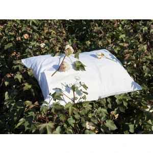 Doğal Pamuk Yastık Yetişkin